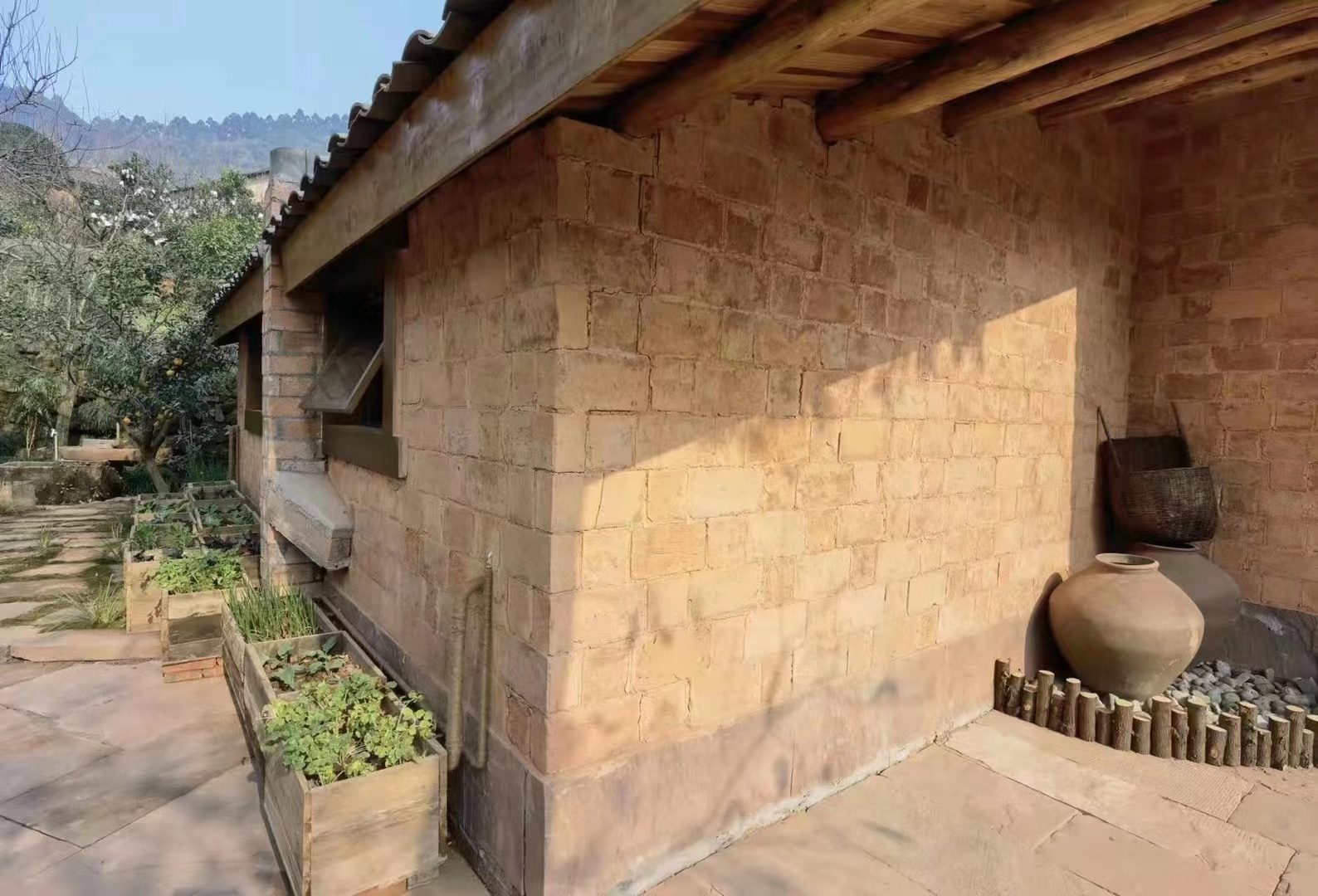 DT����(�й�)���Ź���